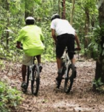 Bikers in the woods